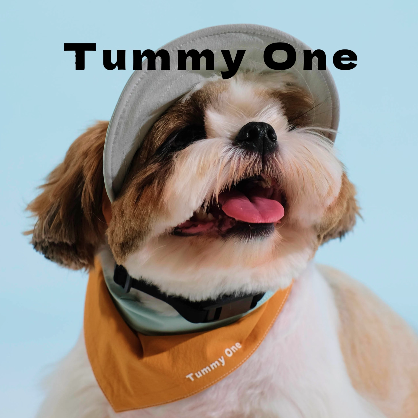 Outdoor Petwear Essentials