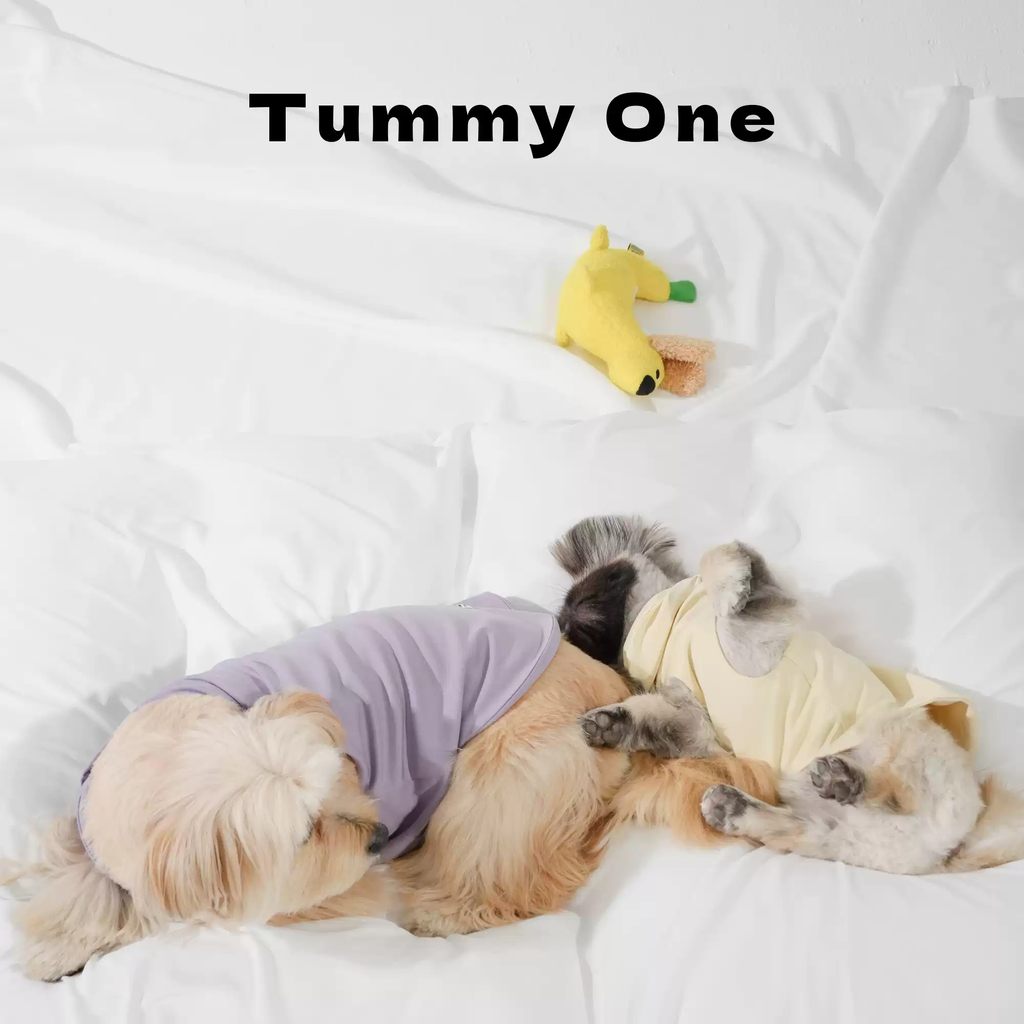 Breathable Lyocell Pet Vest