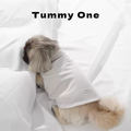 Breathable Lyocell Pet Vest