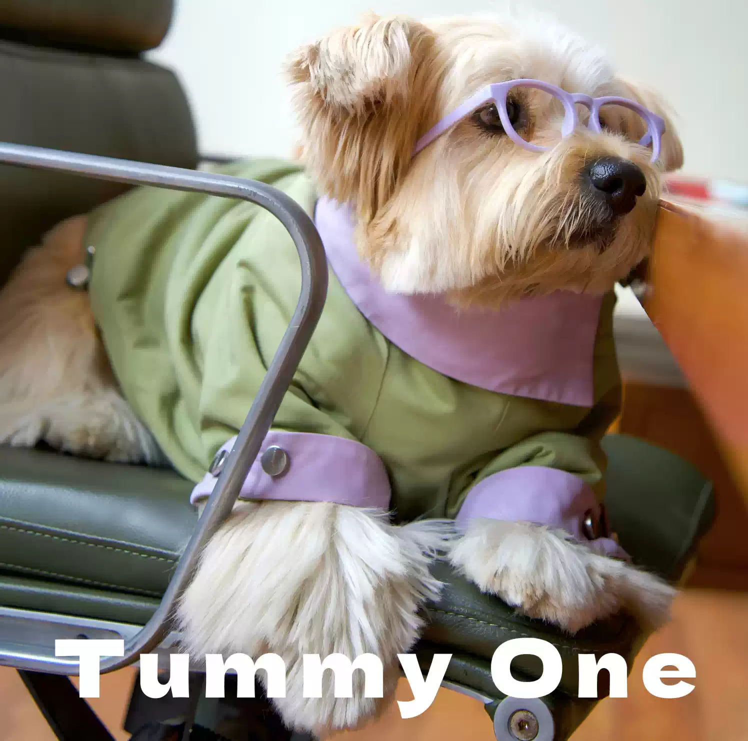 Warm Fleece Dog Jacket