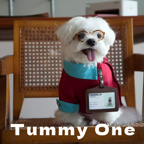 Warm Fleece Dog Jacket