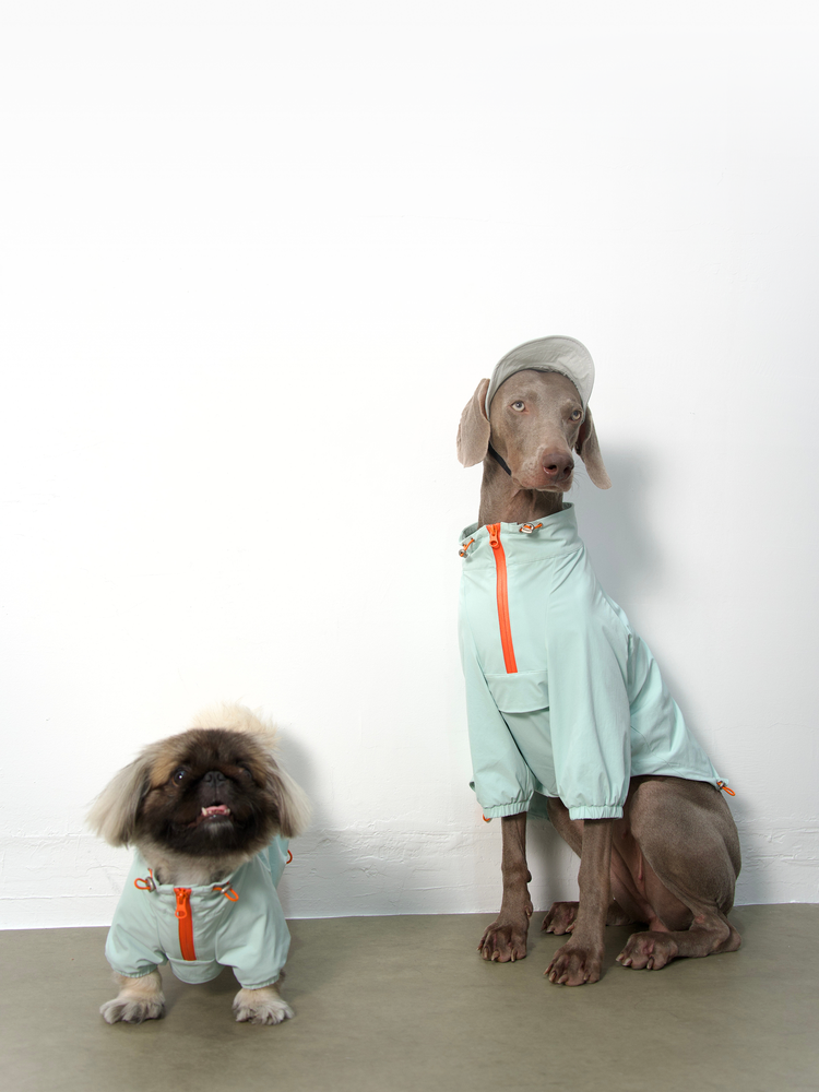 Outdoor UV Pet Jacket
