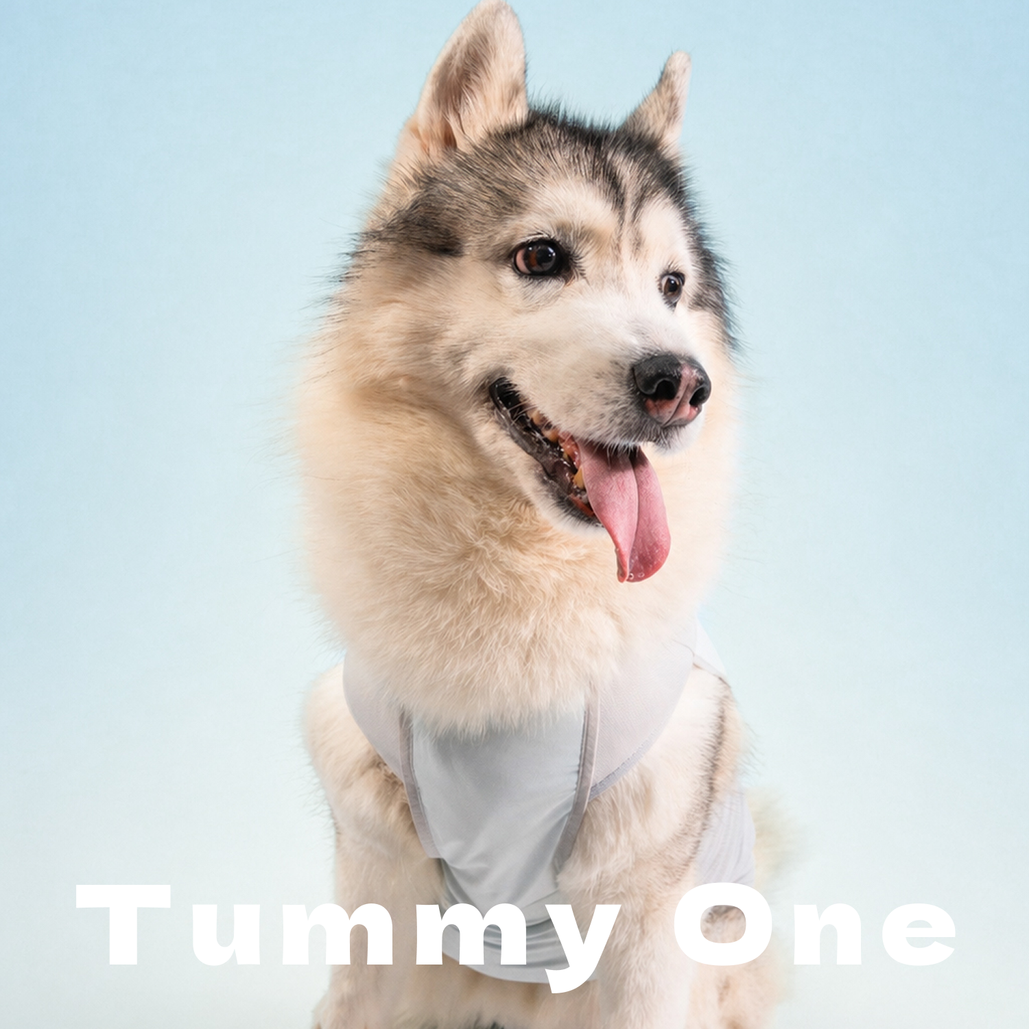 Chill Cooling Pet Vest