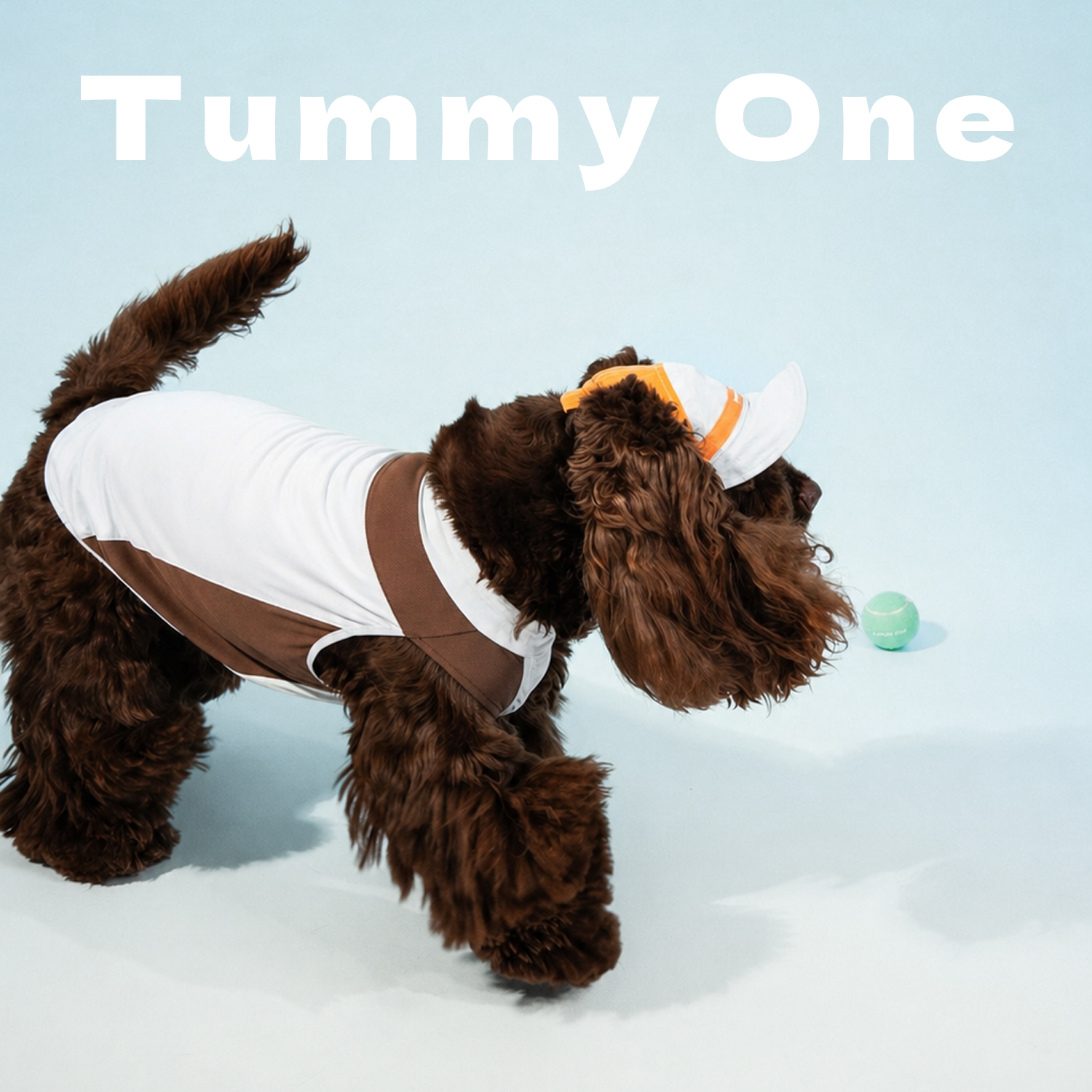 Chill Cooling Pet Vest