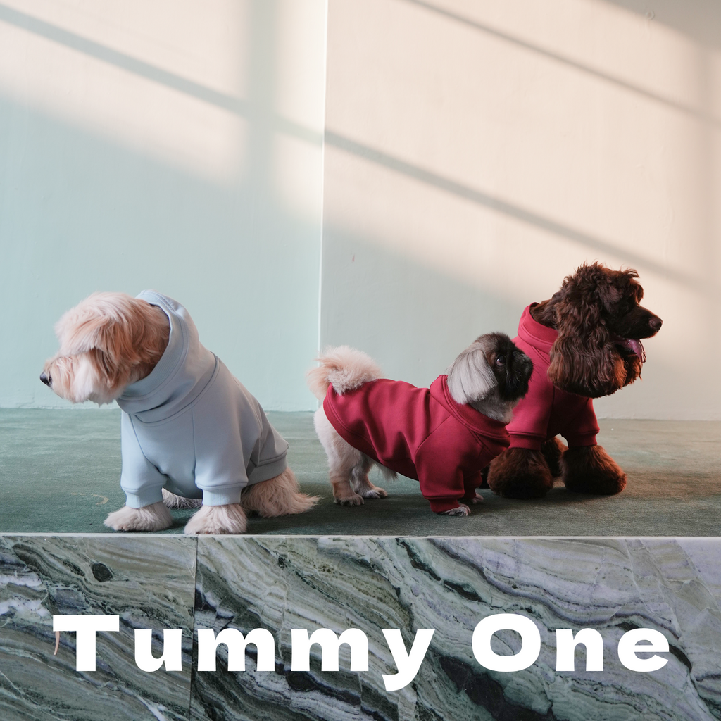 Heavyweight Fleece Pet Hoodie