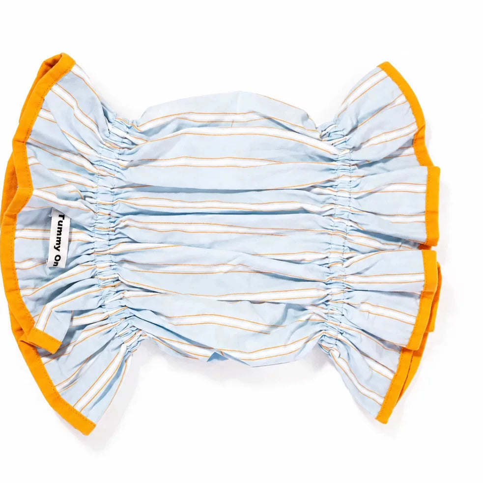 Striped Pet Earmuffs
