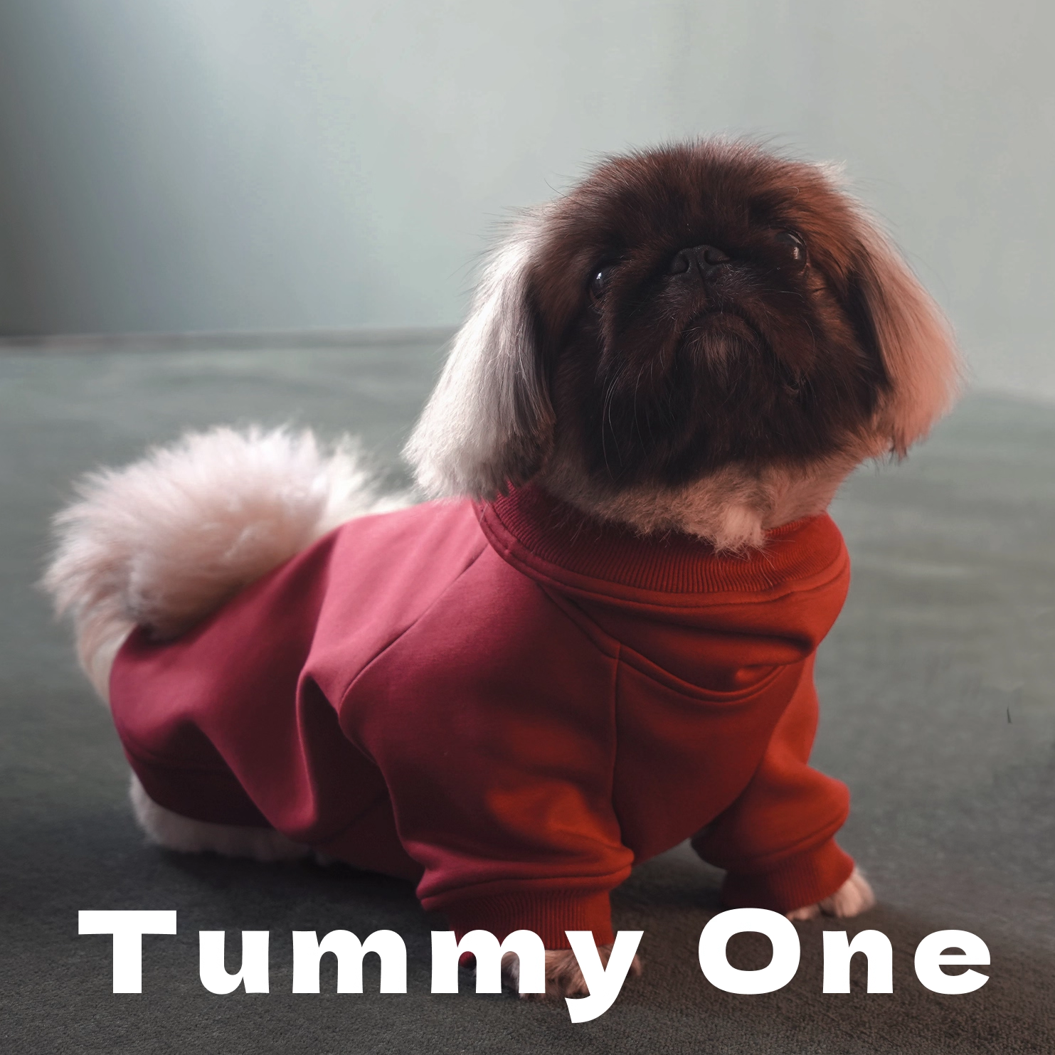 Heavyweight Fleece Pet Hoodie
