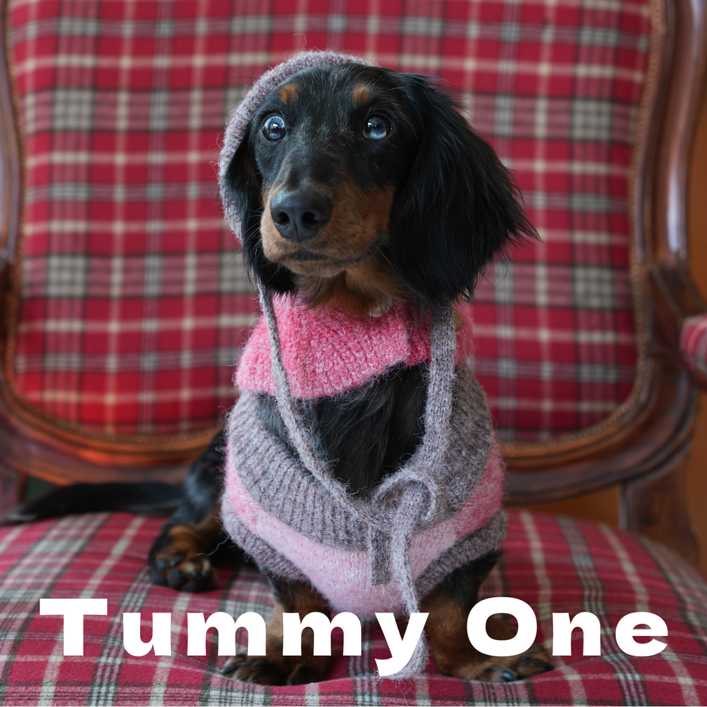 Pet Sweater Set