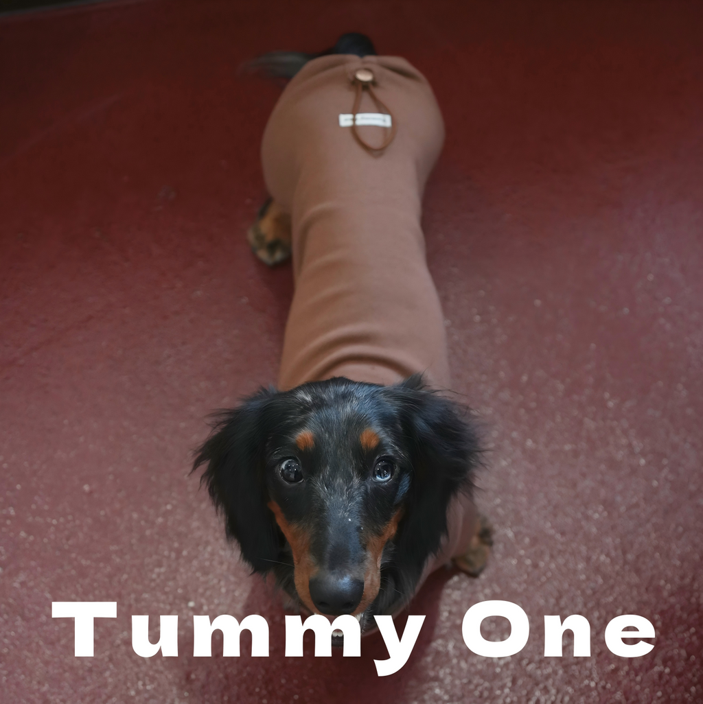 Soft Fleece Pet Sweatshirt