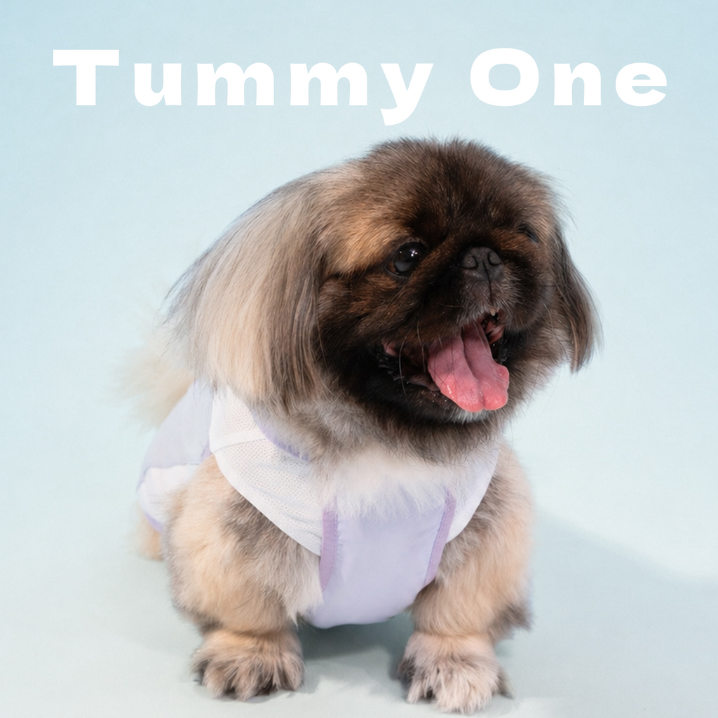 Chill Cooling Pet Vest