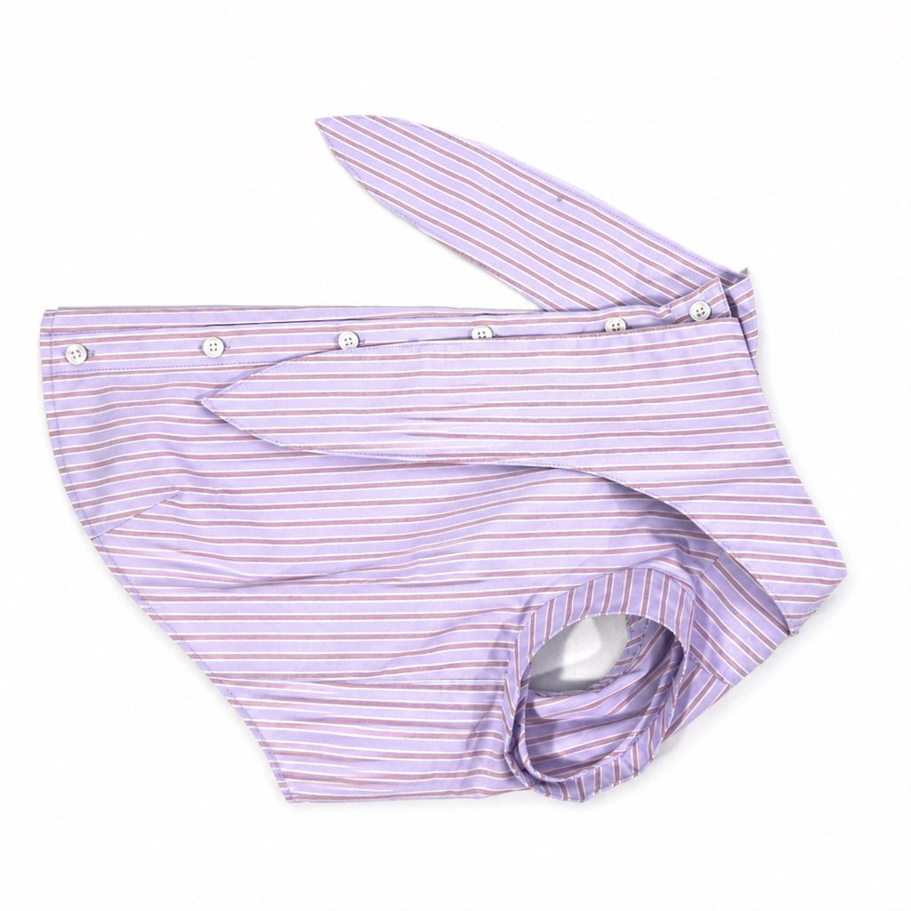 Striped Rabbit Ear Pet Vest