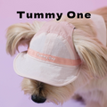 Reversible Pet Sun Hat & Scarf