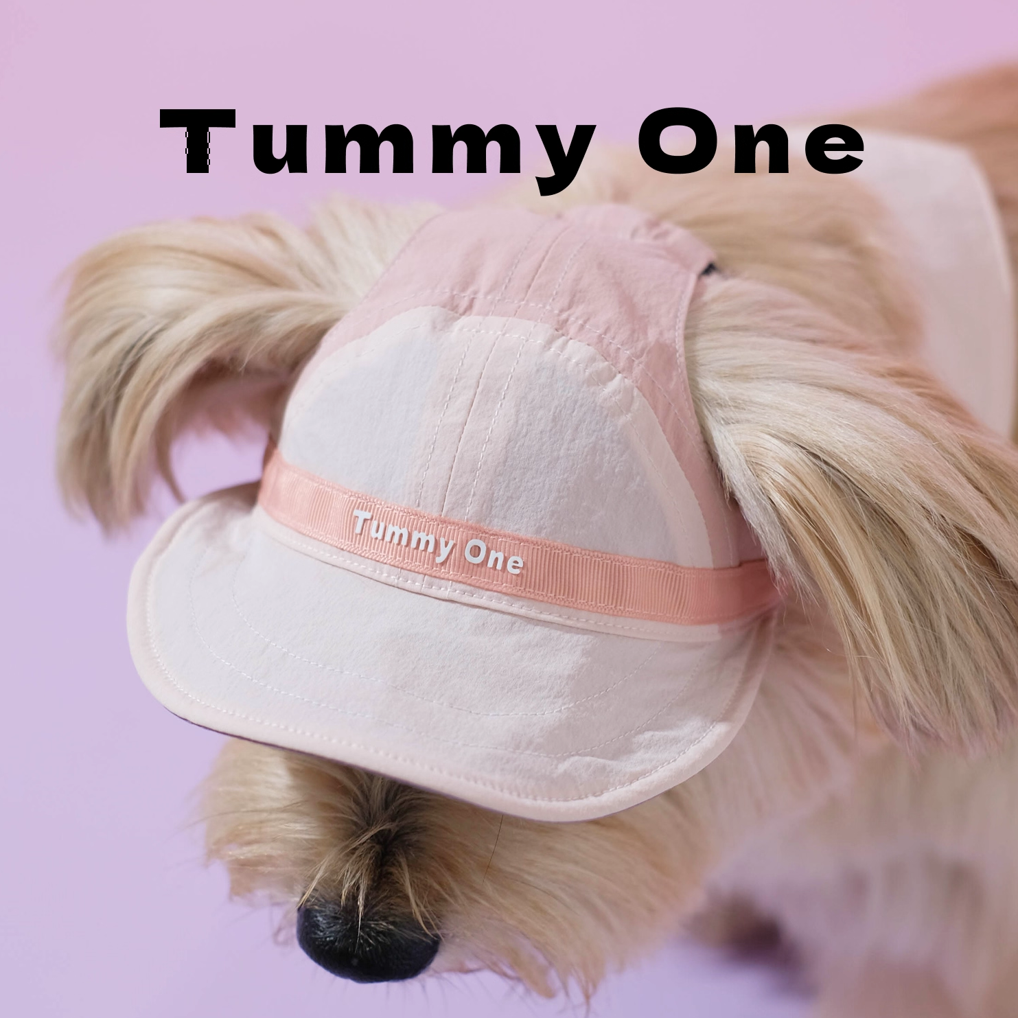 Reversible Pet Sun Hat & Scarf