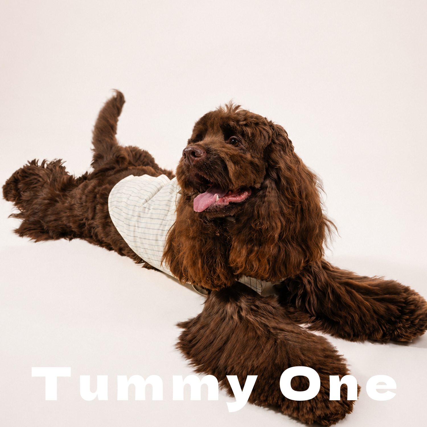Striped Rabbit Ear Pet Vest