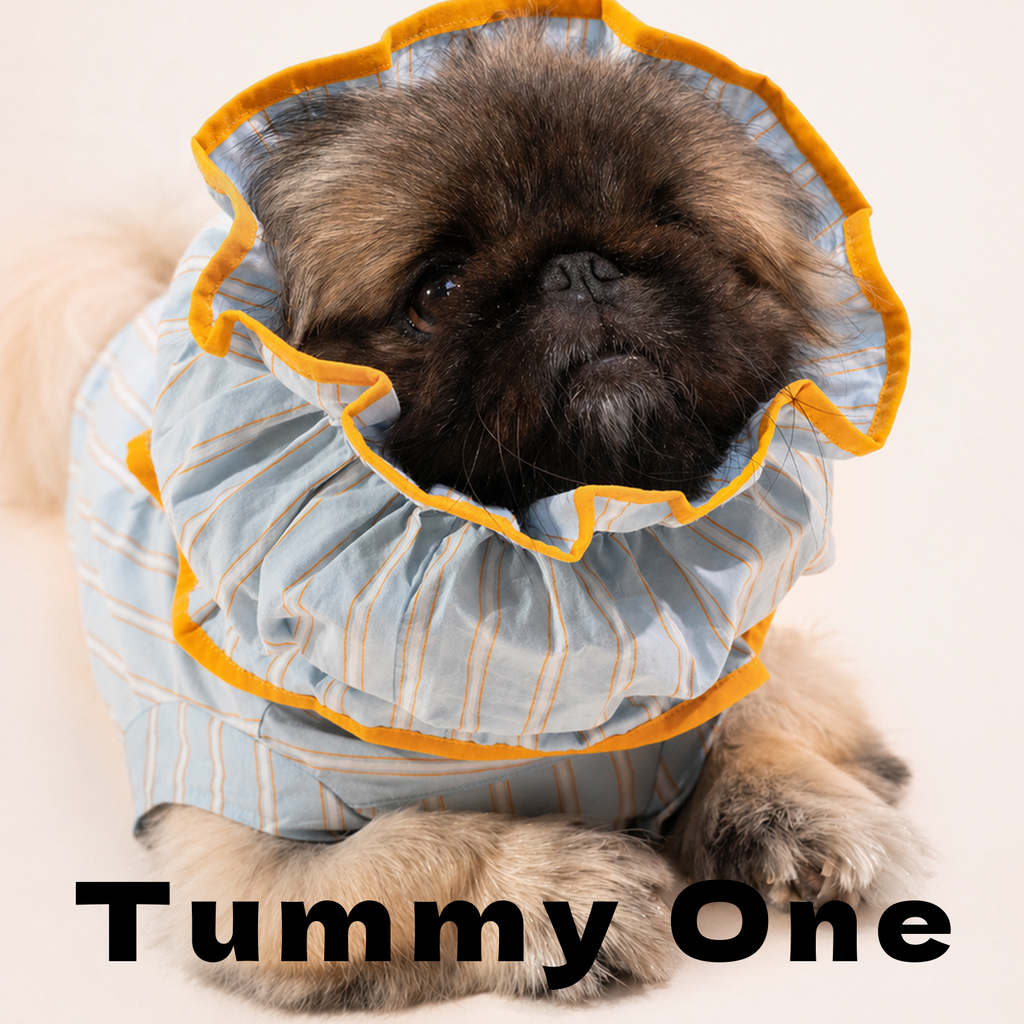 Striped Pet Earmuffs