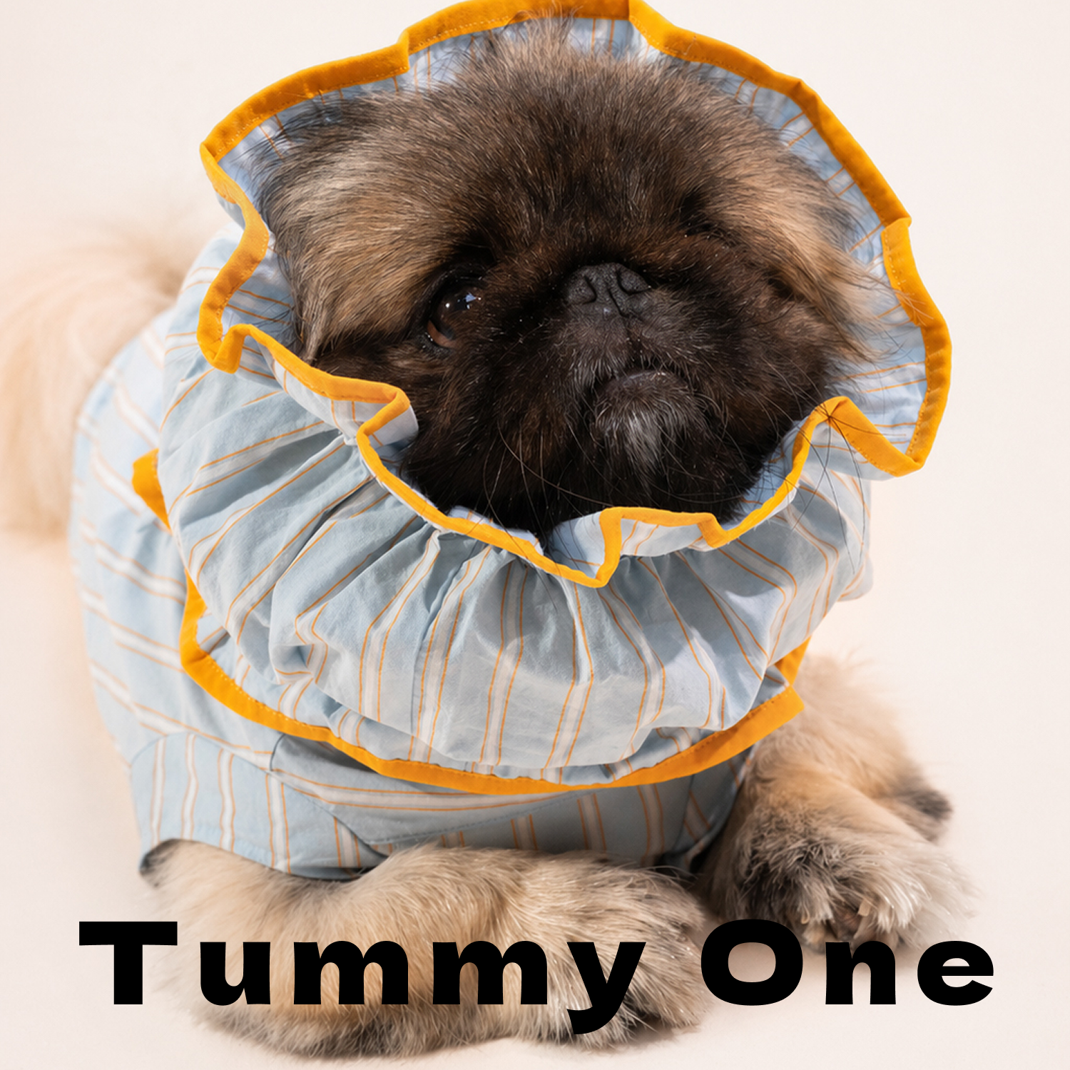 Striped Pet Earmuffs