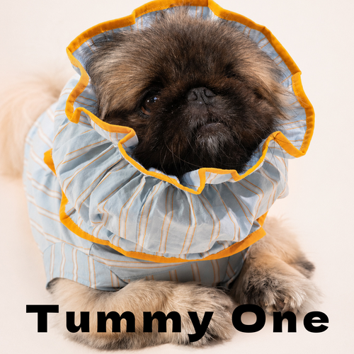 Striped Pet Earmuffs