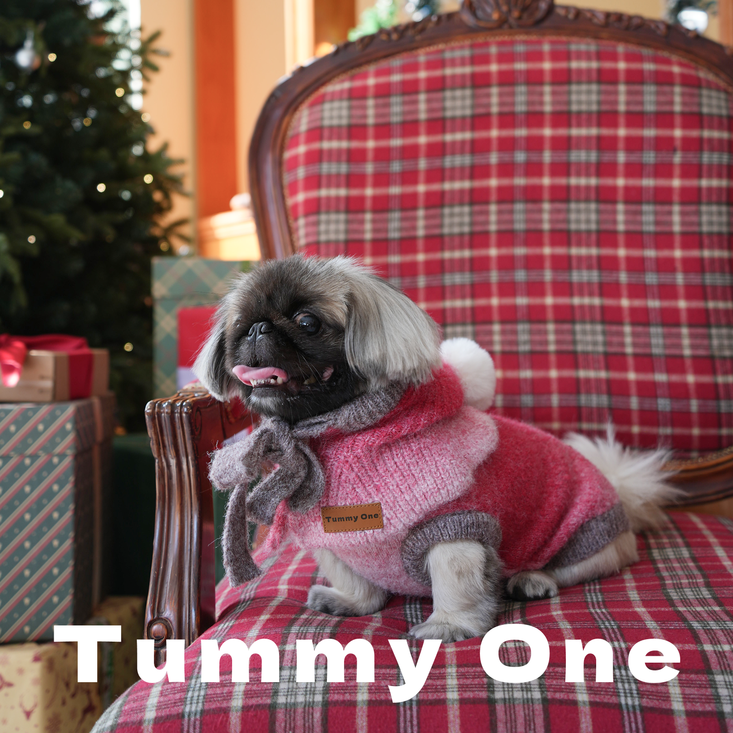 Pet Sweater Set