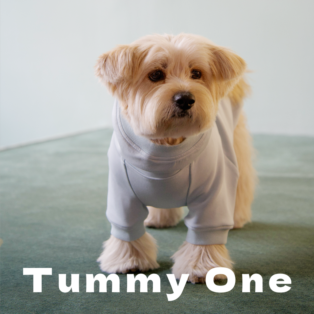 Heavyweight Fleece Pet Hoodie