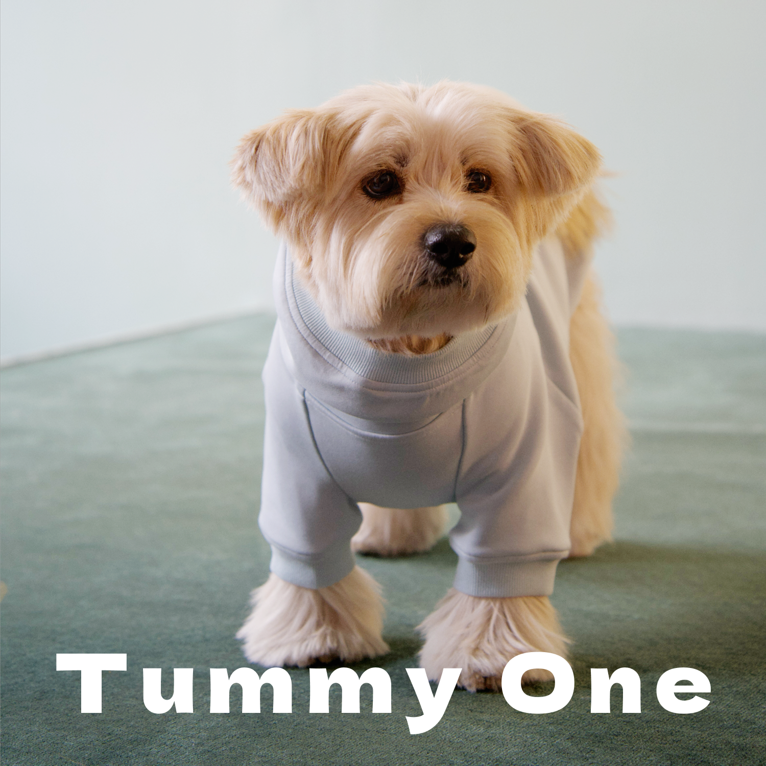 Heavyweight Fleece Pet Hoodie