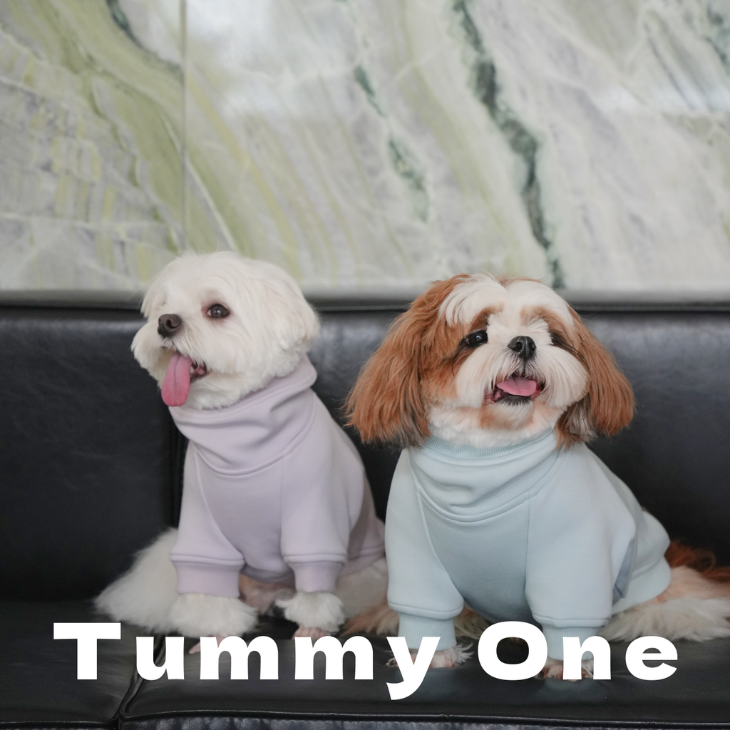 Heavyweight Fleece Pet Hoodie