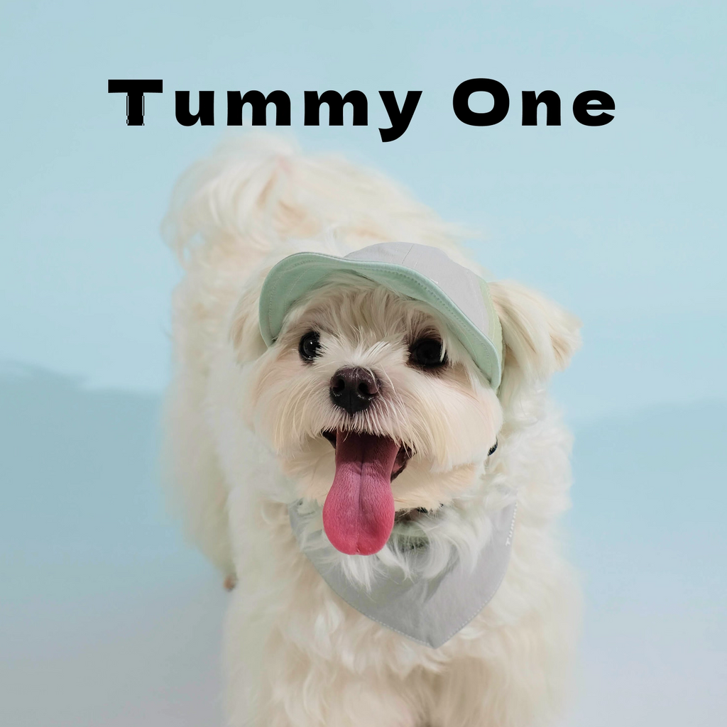 Reversible Pet Sun Hat & Scarf