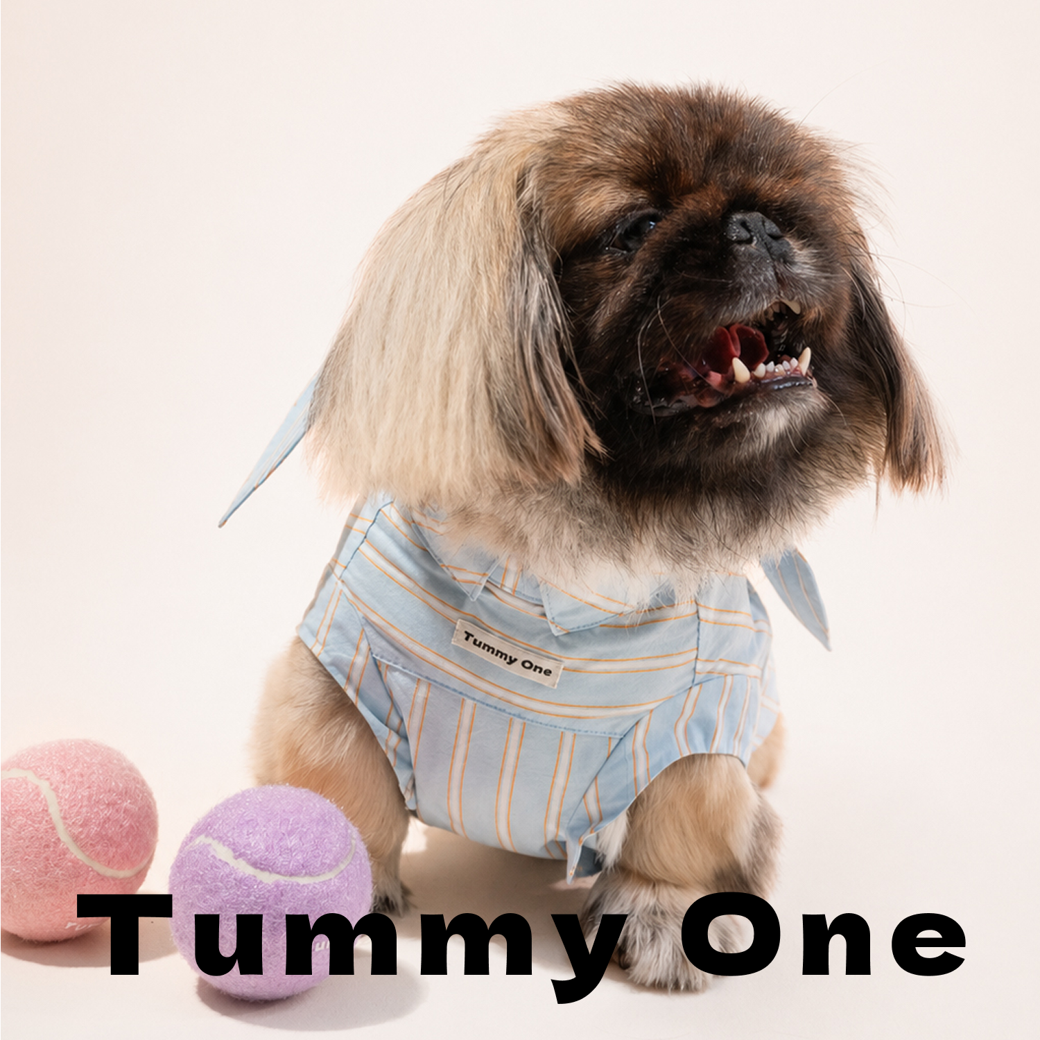 Striped Rabbit Ear Pet Vest