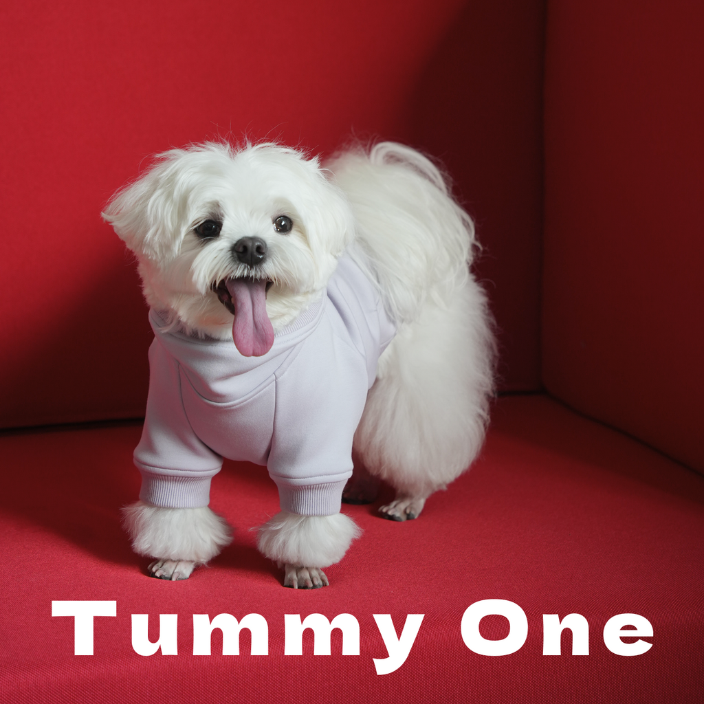 Heavyweight Fleece Pet Hoodie
