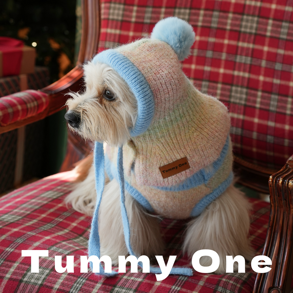 Pet Sweater Set