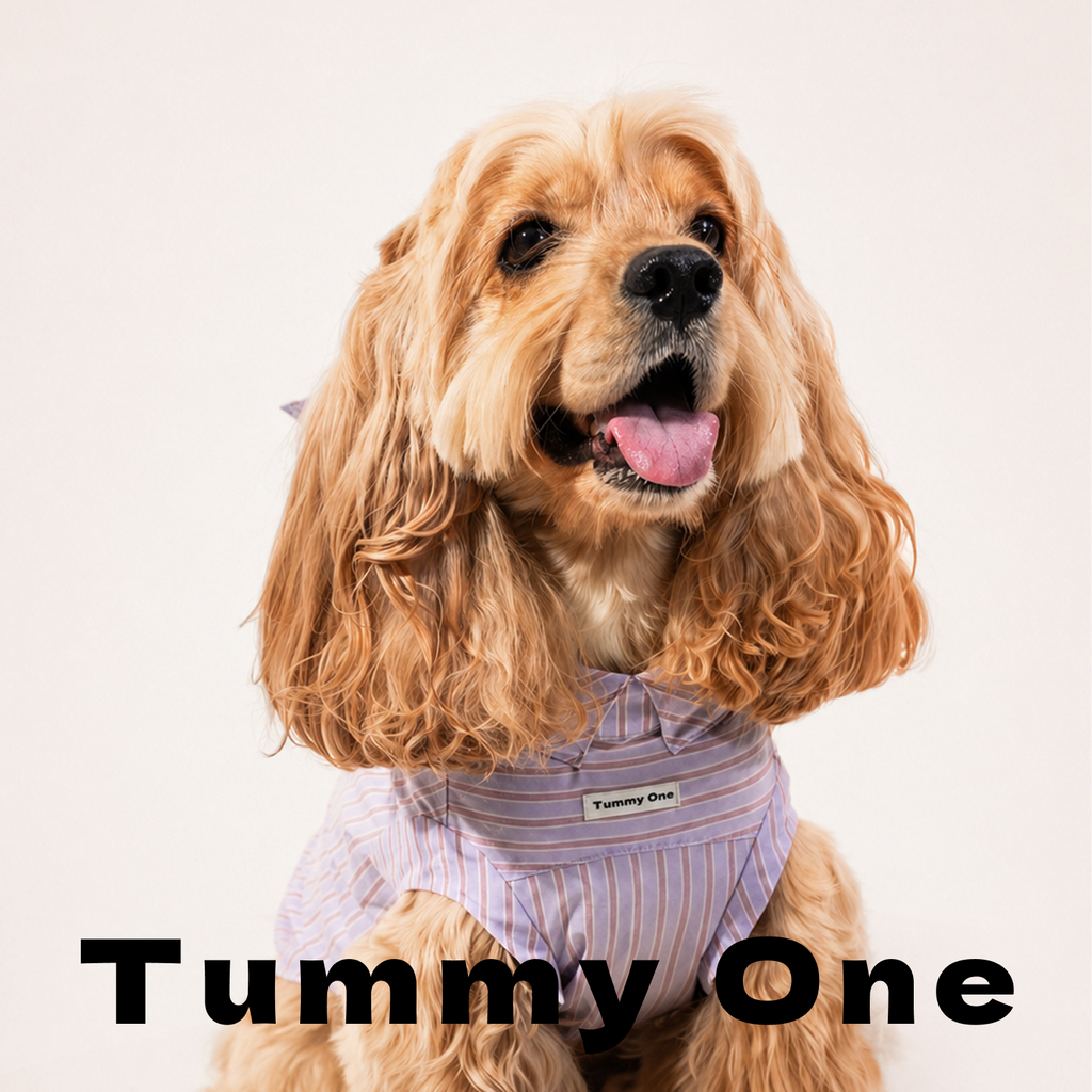 Striped Rabbit Ear Pet Vest