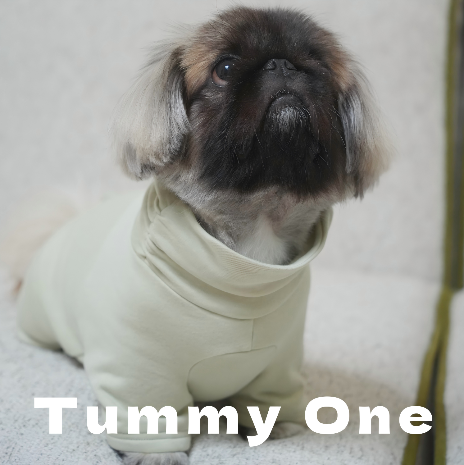 Soft Fleece Pet Sweatshirt