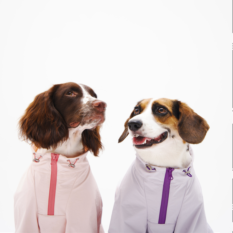 Outdoor UV Pet Jacket