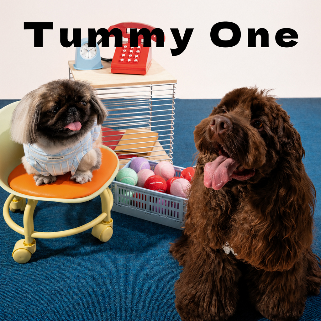 Striped Rabbit Ear Pet Vest
